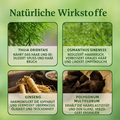 KräuterKraft Shampoo - Natürliche Stärkung für Ihr Haar